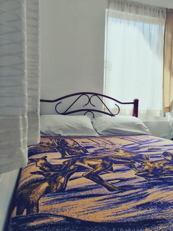Hostal Maple Queretaro Luaran gambar