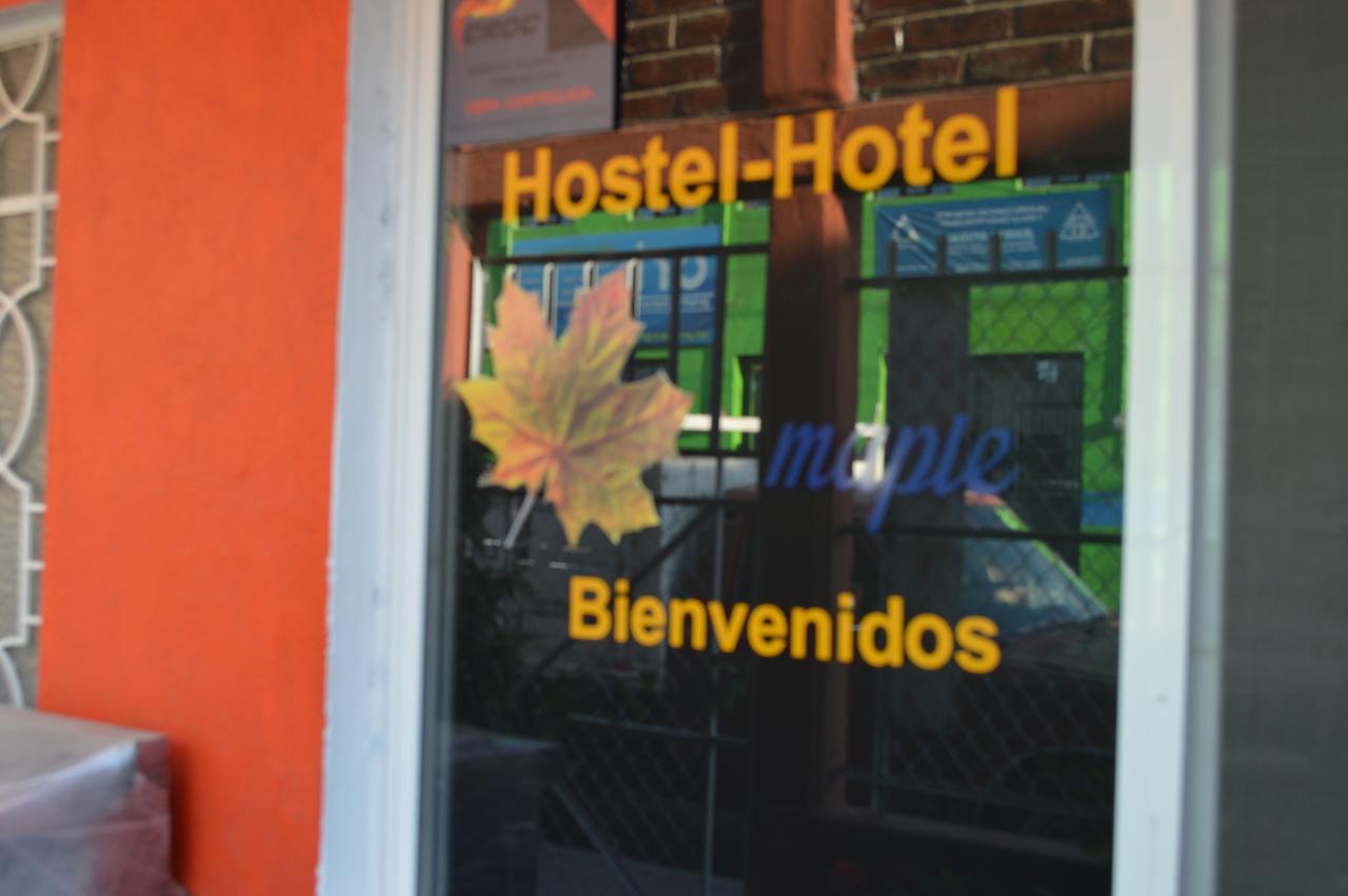 Hostal Maple Queretaro Luaran gambar