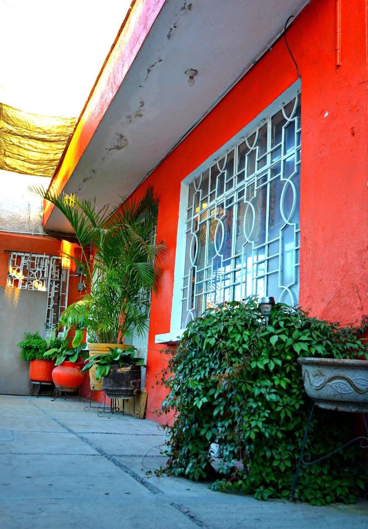 Hostal Maple Queretaro Luaran gambar