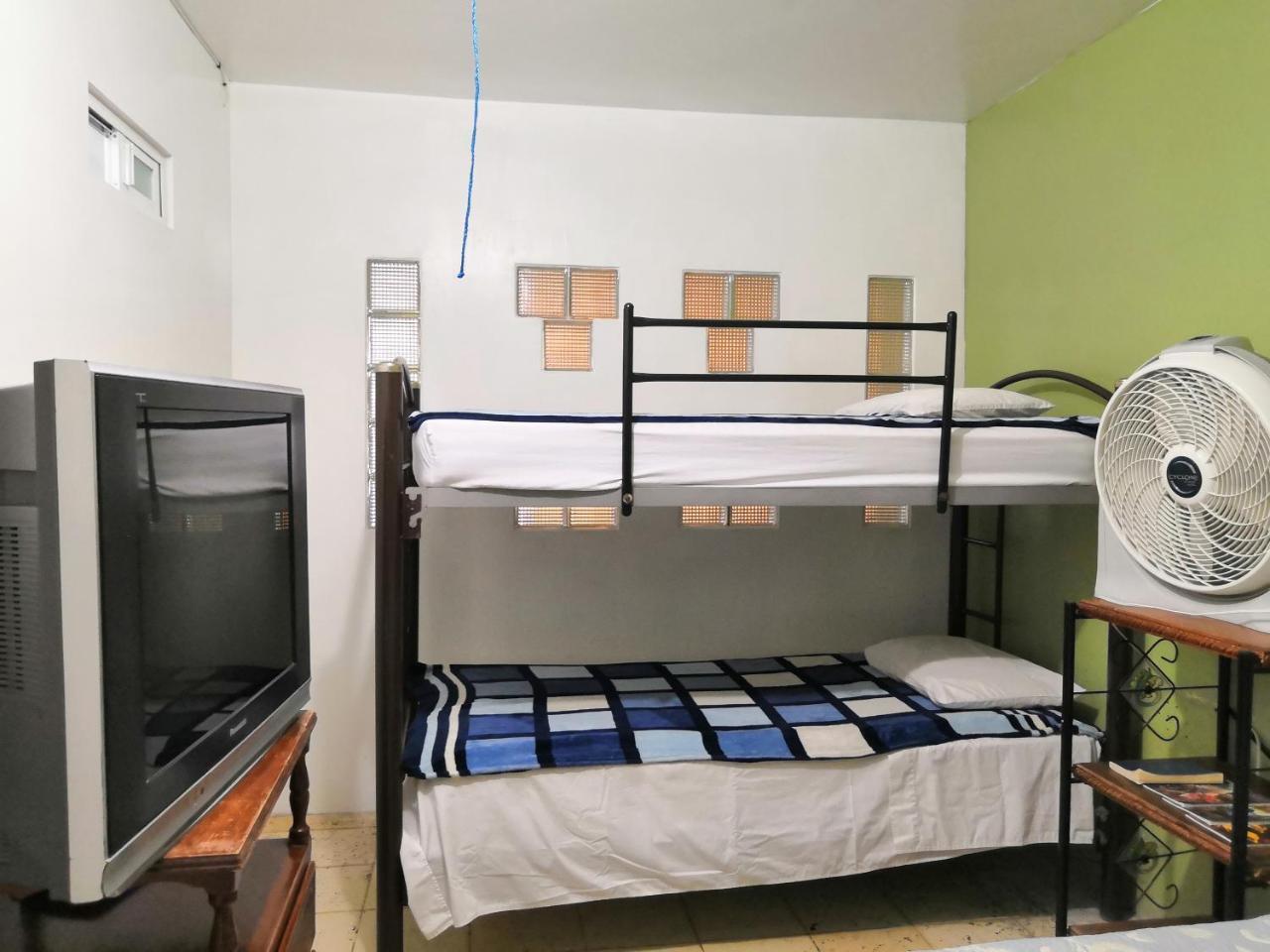 Hostal Maple Queretaro Luaran gambar